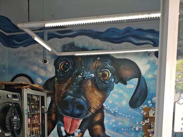 Dog Wash Sitges