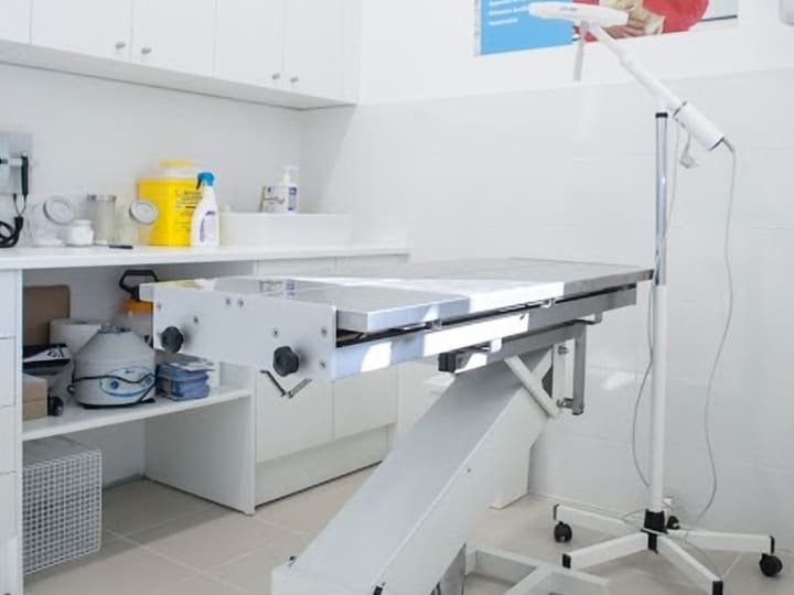 Kivet Salud Animal